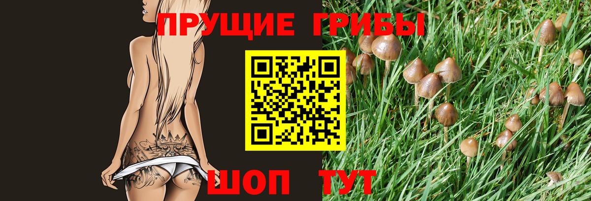 Галлюциногенные грибы Cubensis Рузаевка