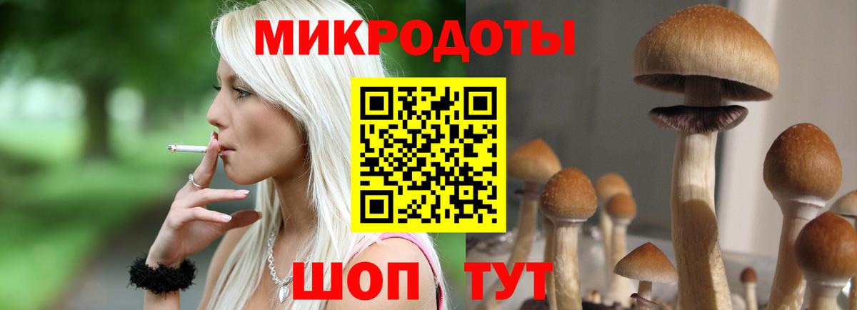 Галлюциногенные грибы GOLDEN TEACHER  Вход с VPN  Рузаевка 
